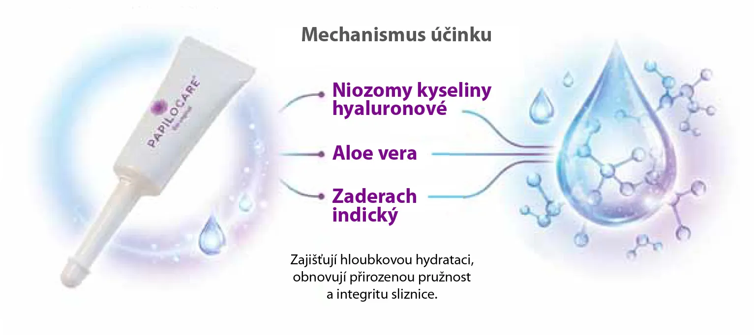 Mechanizmus účinku s niozómami kyseliny hyalurónovej, aloe vera a zederachom indickým