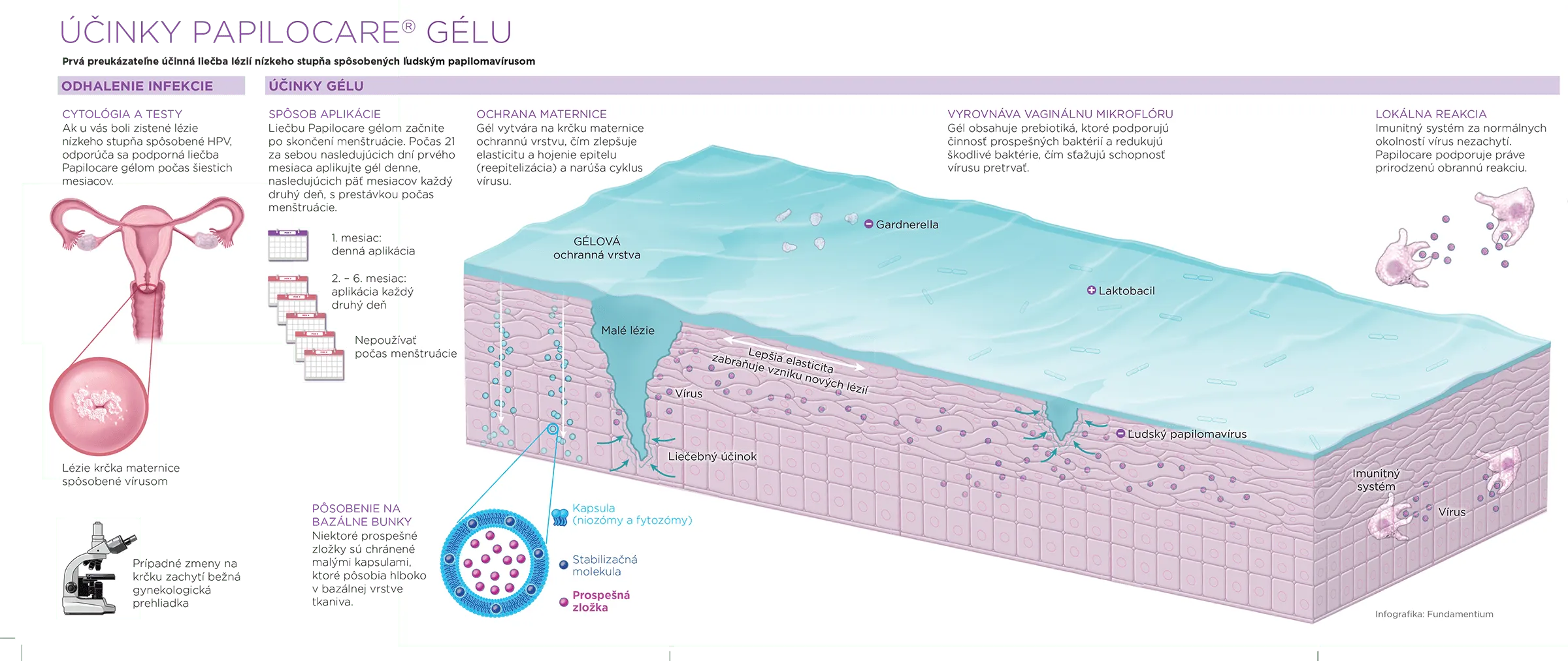 Infografika Papilocare